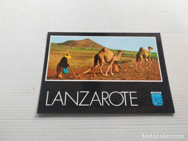 Postales: LANZAROTE - POSTAL FAENAS DEL CAMPO - Foto 1