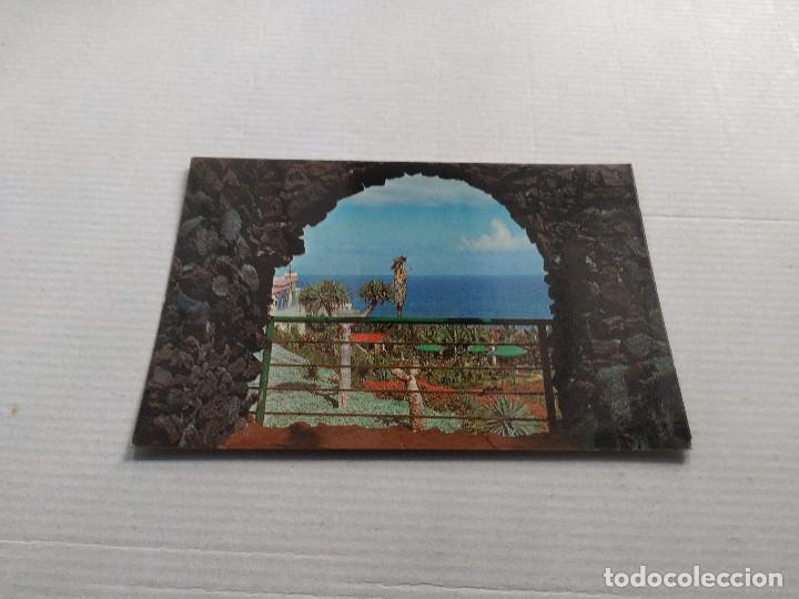 Postales: TENERIFE - POSTAL LORO PARQUE - Foto 1