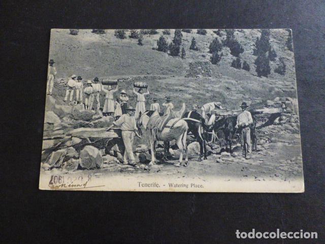 Postales: TENERIFE WATERING PLACE - Foto 1