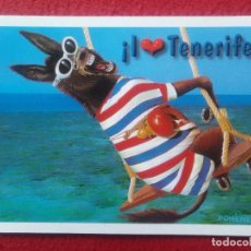 Postales: POSTAL I LOVE TENERIFE ISLAS CANARIAS POST CARD SPAIN BURRO BURRITO DONKEY CON GAFAS ÂNE ESEL ASINO.. Lote 323051053