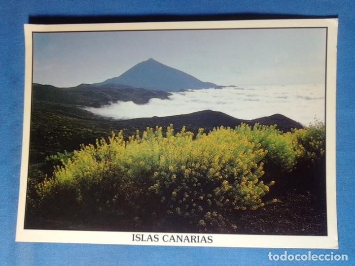 Postales: POSTAL Canarias NO CIRCULADA - Foto 1