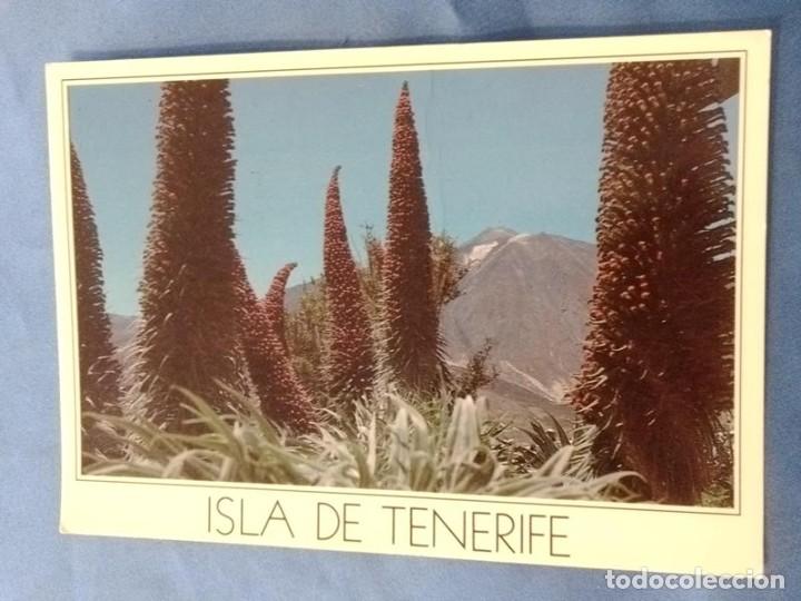 Postales: POSTAL Canarias escrita con sello - Foto 1