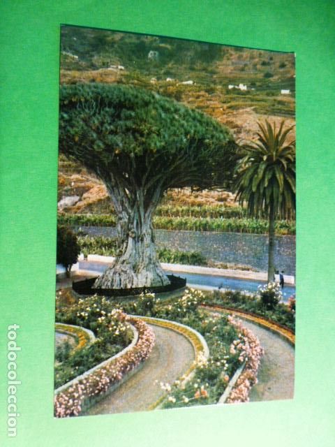 Postales: ICOD TENERIFE DRAGO - Foto 1