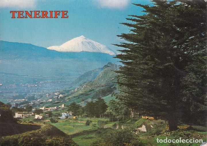 Postales: TENERIFE LA LAGUNA - Foto 1