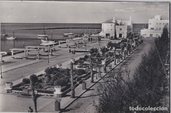 Postcards: POSTAL DE ARRECIFE, LANZAROTE - UN ASPECTO DEL PARQUE MUNICIPAL