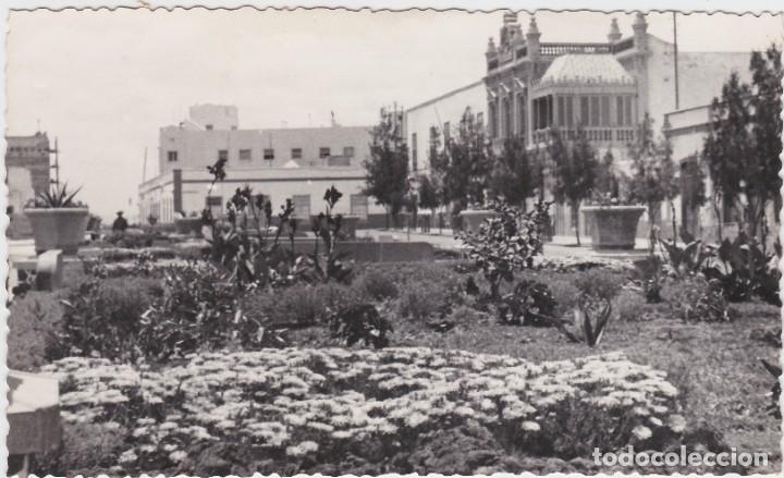 Postcards: POSTAL DE ARRECIFE, LANZAROTE - PARQUE MUNICIPAL