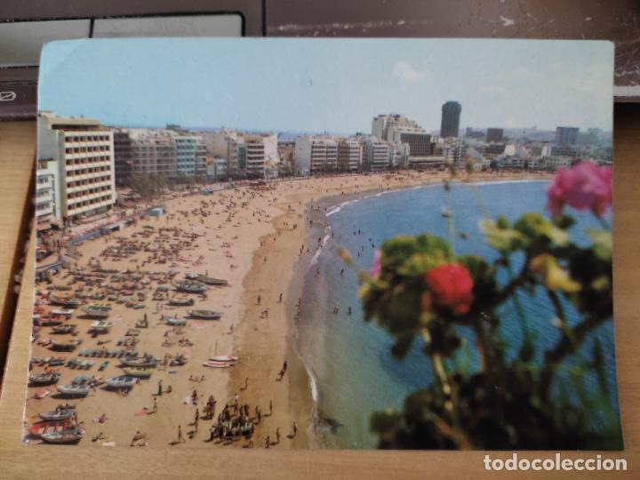 Postales: TREMEEEENDO PRIMER PLANO BORROSO FLORES GRAN CANARIA ZERKOWITZ 1092 CIRCULADA LEER