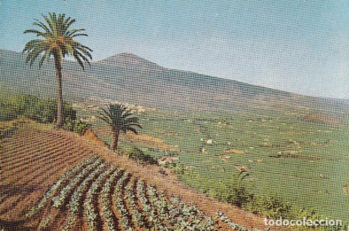 Postales: TENERIFE - LA OROTAVA - Foto 1