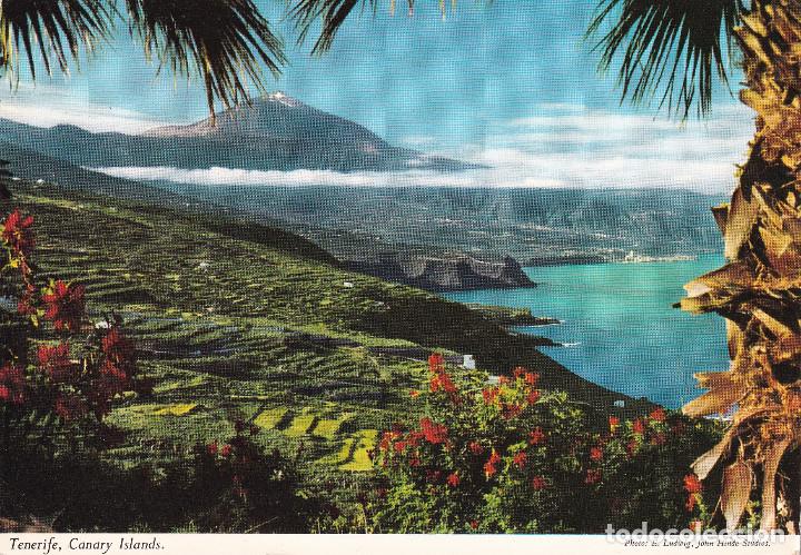 Postales: TENERIFE - COSTA NORTE - Foto 1