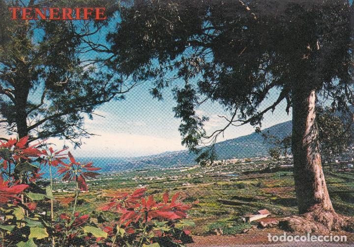Postales: TENERIFE - LA OROTAVA - Foto 1
