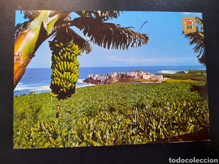 Postales: Postal de Gran Canarias. Plataneros - Foto 1