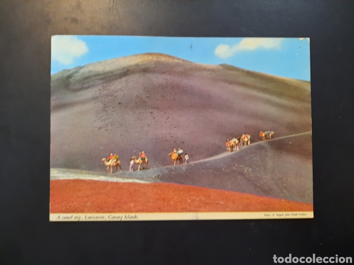 Postales: Postal de Islas Canarias. Caravana de Camellos