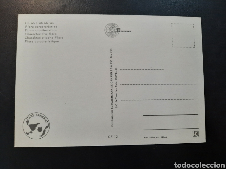 Postales: Postal de Flora caracter&iacute;stica (Islas Canarias) - Foto 2