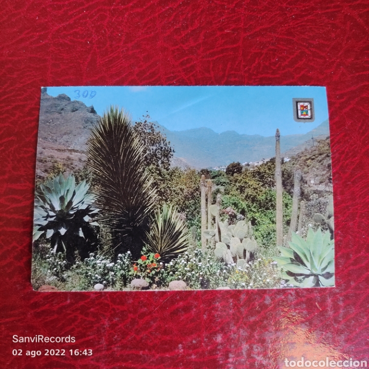 Postales: POSTAL: GRAN CANARIA, VALLE DEL MOGAN (ISLAS CANARIAS)