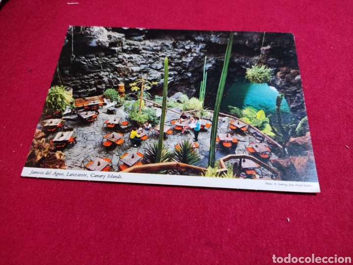 Postales: Postal jameos del agua Lanzarote