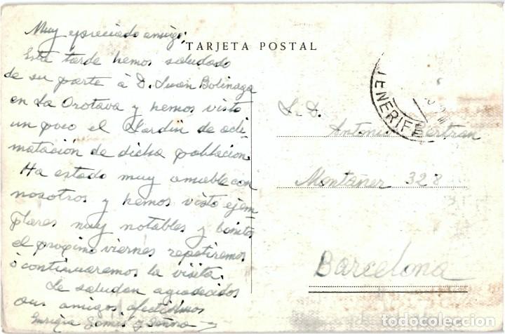 Postales: TARJETA POSTAL - DRAGO MILENARIO ICOD - Foto 2