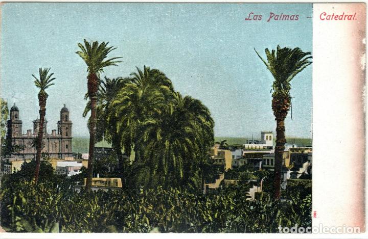 Postales: PRECIOSA POSTAL - LAS PALMAS - CATEDRAL - 7891 - Foto 1