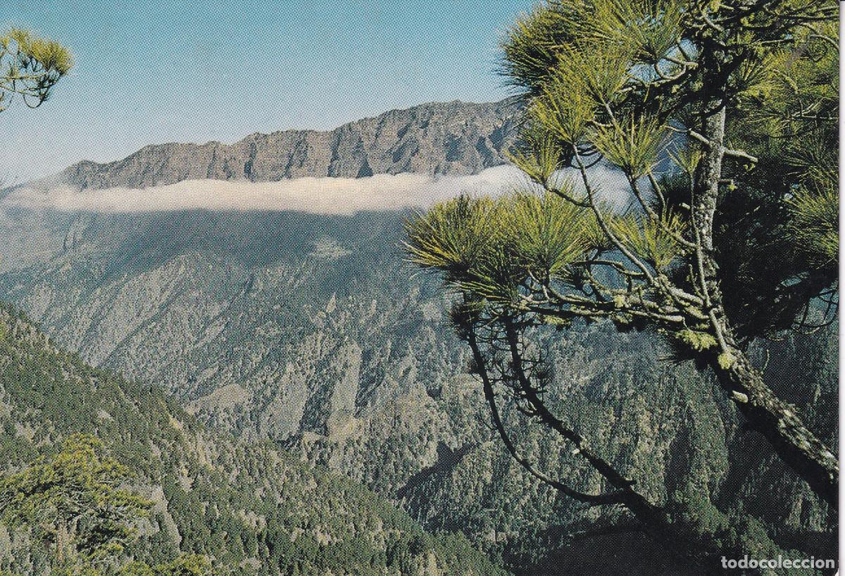 Postales: TENERIFE LA PALMA CALDERA DE TABURTIENTE - Foto 1