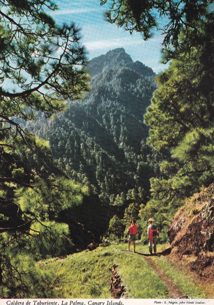 Postales: TENERIFE LA PALMA CALDERA DE TABURTIENTE - Foto 1