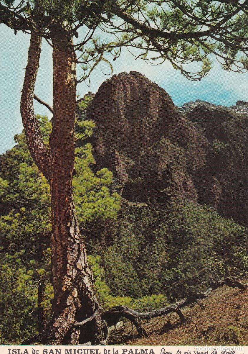 Postales: TENERIFE LA PALMA CALDERA DE TABURTIENTE - Foto 1