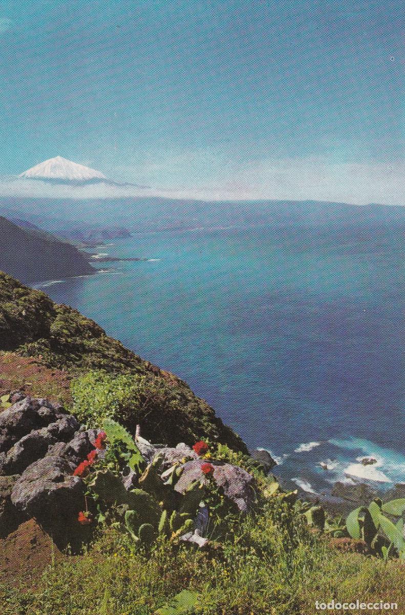 Postales: TENERIFE COSTA NORTE - Foto 1