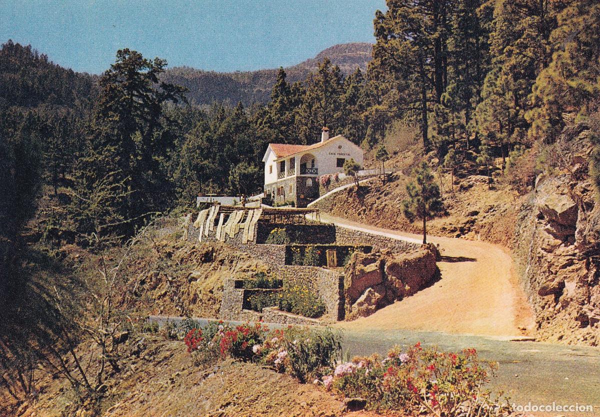 Postales: TENERIFE VILAFLOR CASA FORESTAL - Foto 1