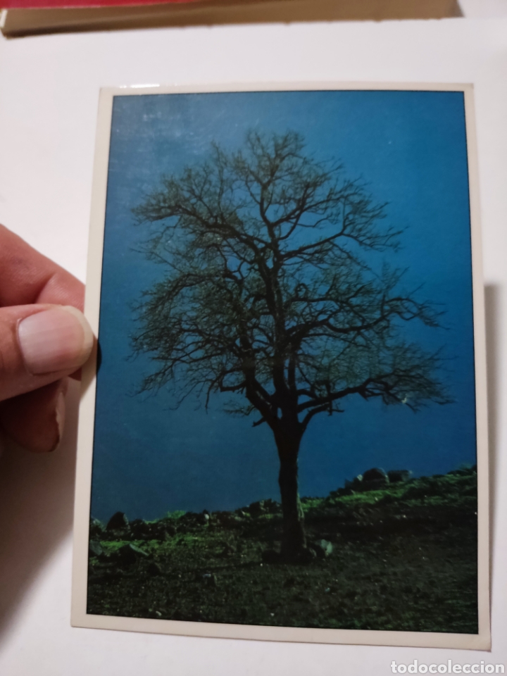 Postales: Postal Islas Canarias - Foto 1
