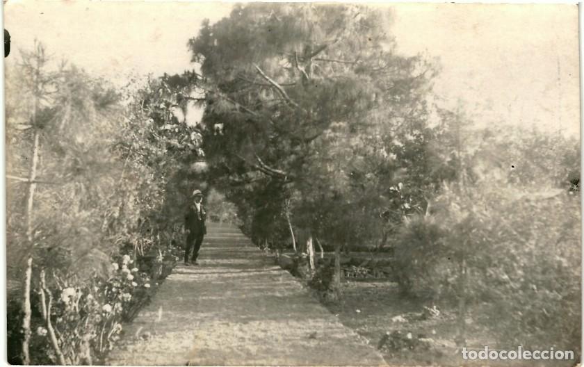 Postales: TARJETA POSTAL - PASEO - Foto 1