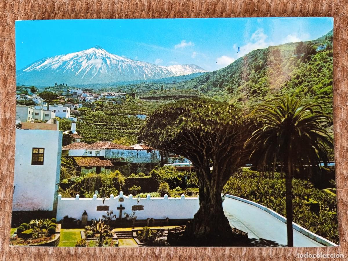 Postales: ICOD - TENERIFE - DRAGO MILENARIO - Foto 1