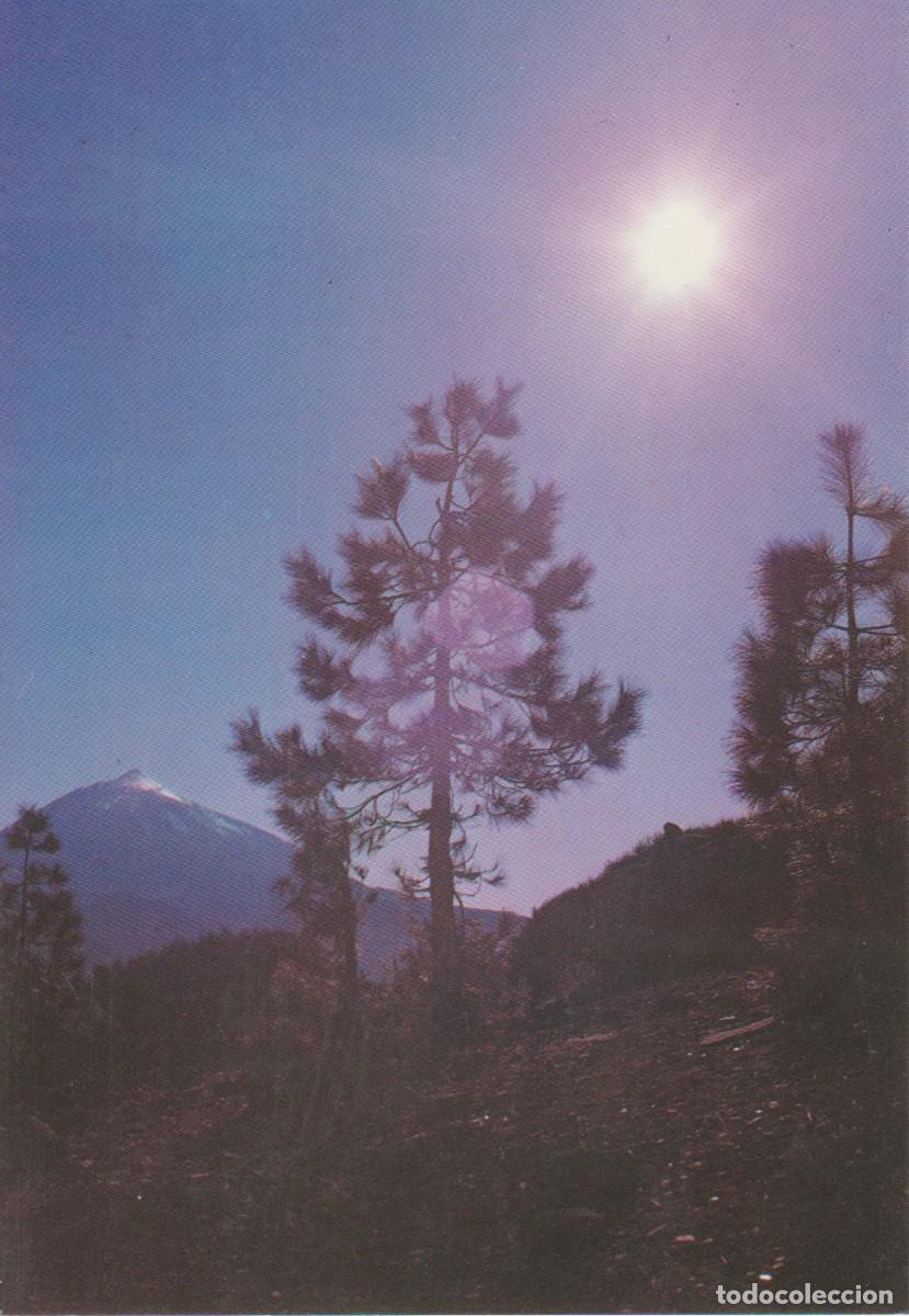 Postales: (2936) TENERIFE. EL TEIDE ... SIN CIRCULAR - Foto 1