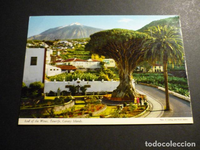 Postales: ICOD DE LOS VINOS TENERIFE - Foto 1