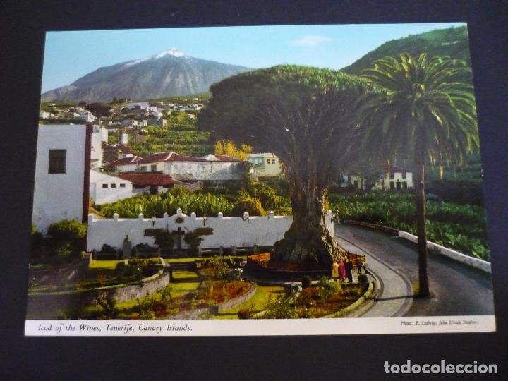 Postales: ICOD DE LOS VINOS TENERIFE - Foto 1