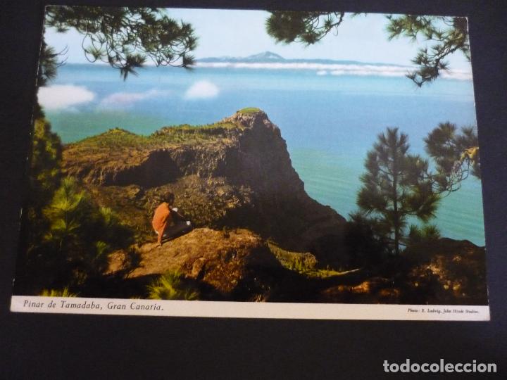 Postales: PINAR DE TAMADABA GRAN CANARIA - Foto 1