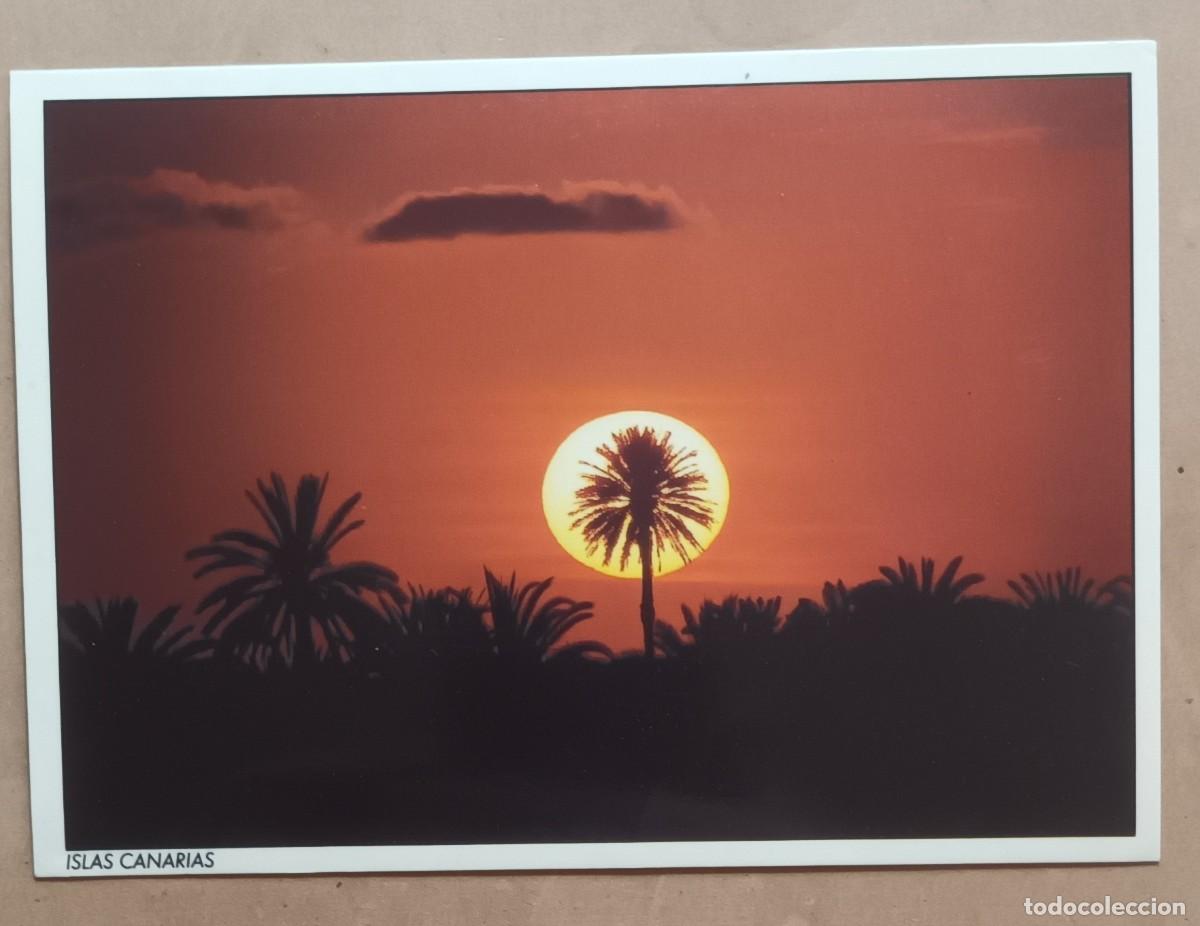 Postales: POSTAL - - ISLAS CANARIAS - Foto 1