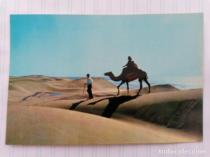 Postales: POSTAL GRAN CANARIA, PLAYA DE MASPALOMAS - Foto 1