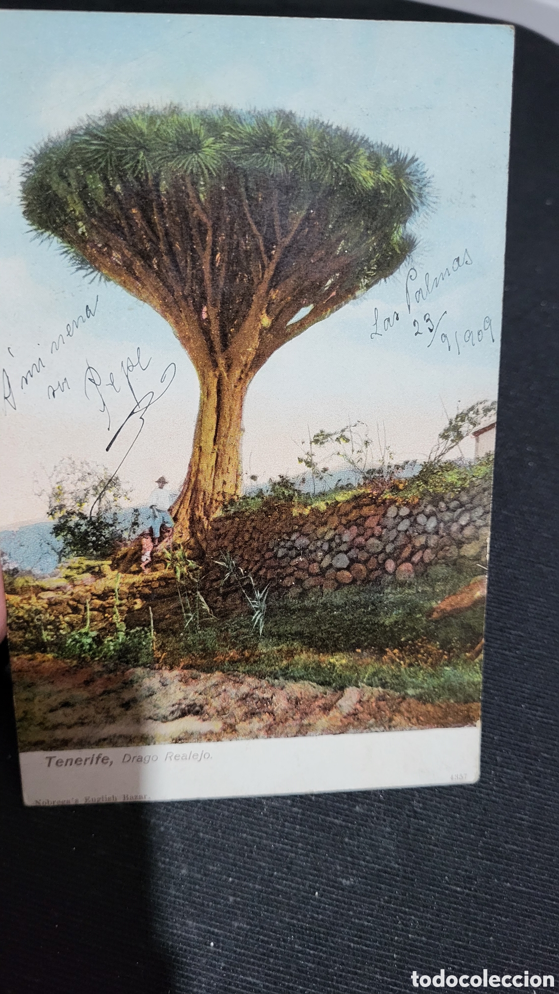 Postales: Tarjeta Postal usada Tenerife - Foto 1