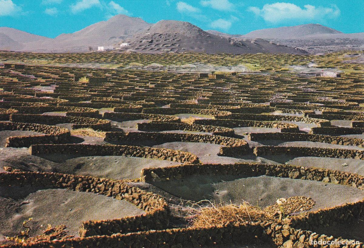 Postales: LANZAROTE LA GERIA - Foto 1