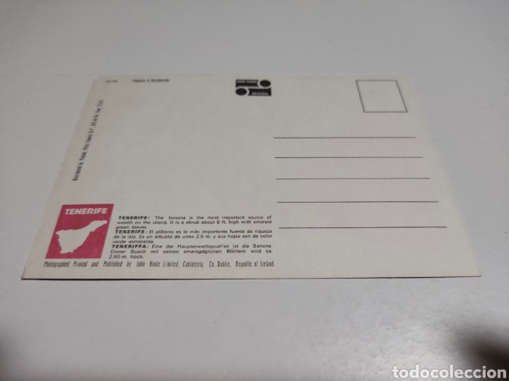 Postales: Postal bananas Tenerife - Foto 2