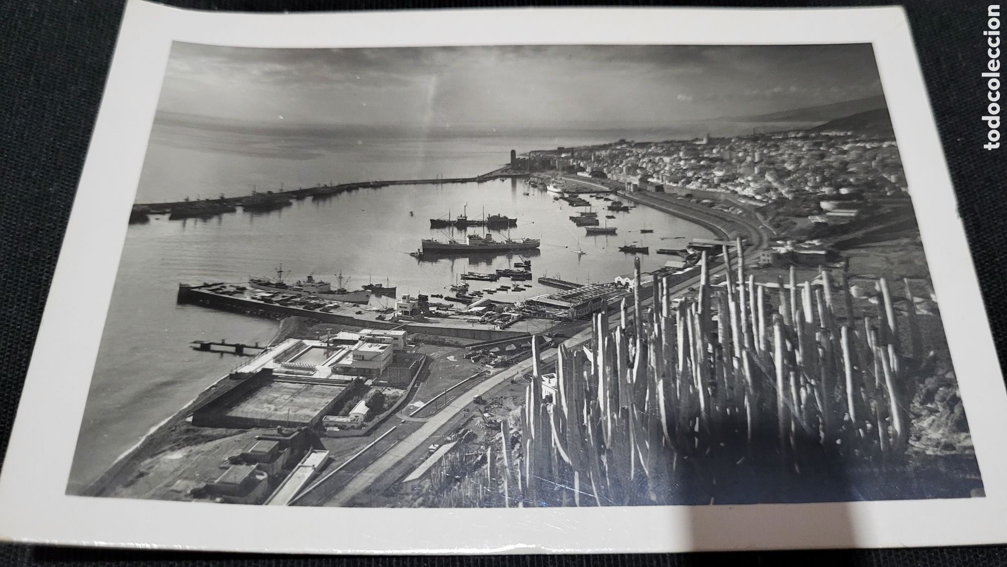 Cartes Postales: Tarjeta Postal Santa Cruz de Tenerife