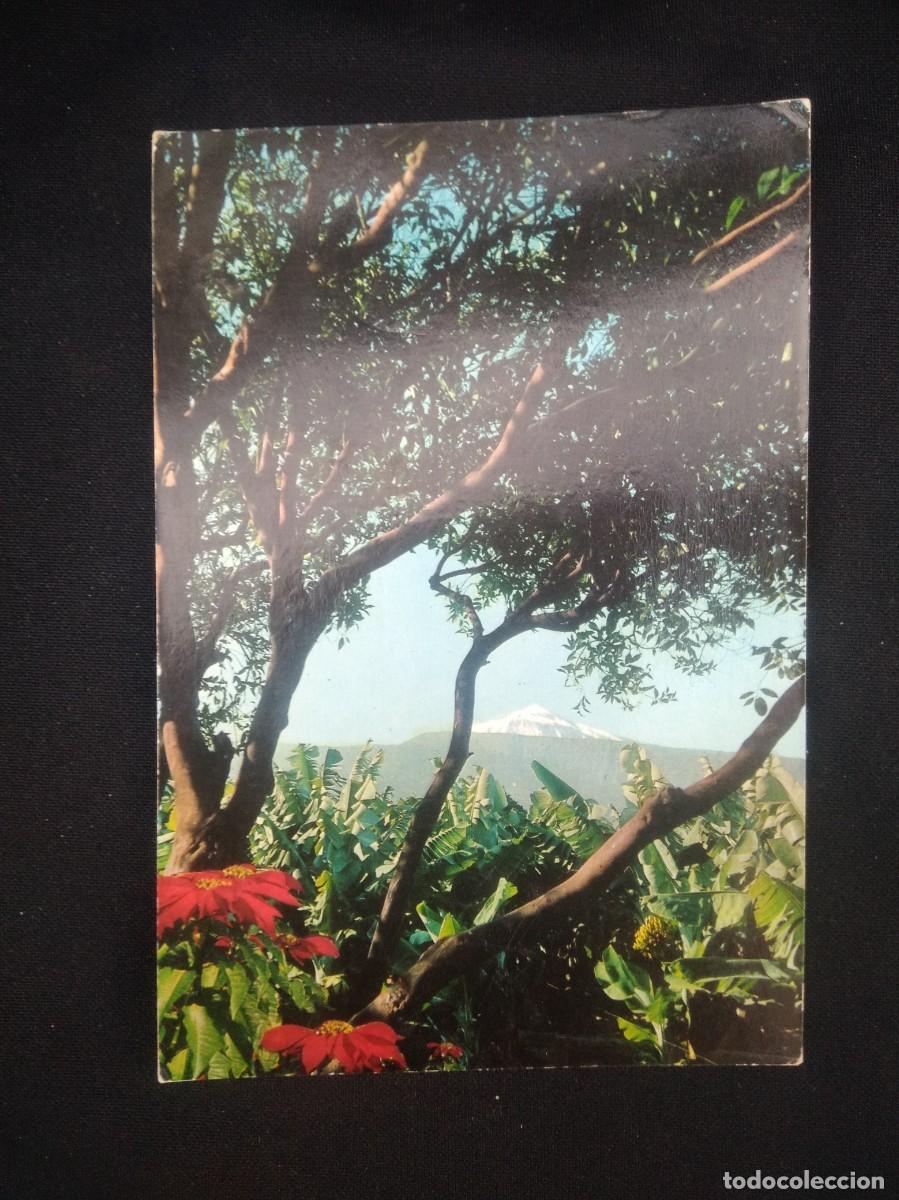 Postales: Postal Tenerife - Foto 1