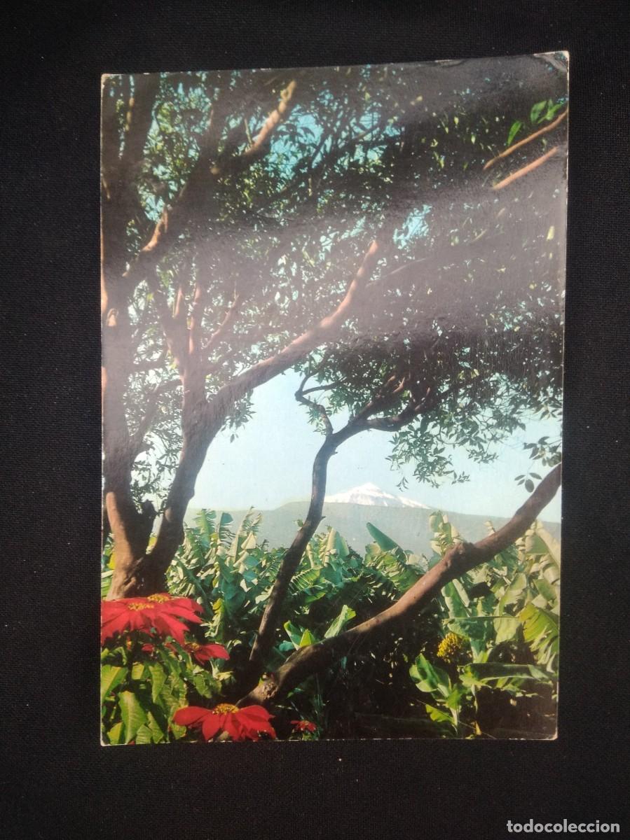 Postales: Postal Tenerife - Foto 2
