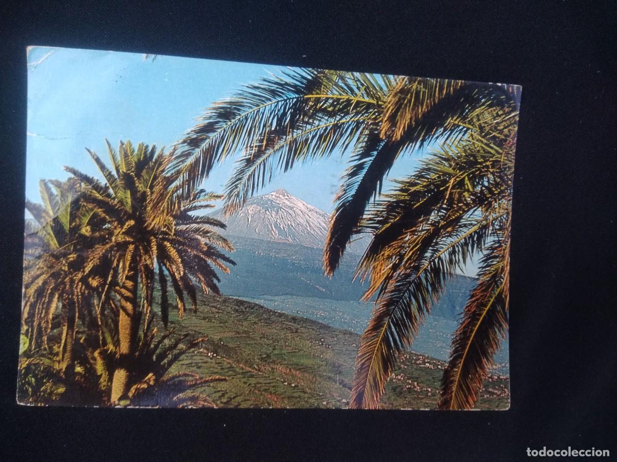 Postales: Postal Tenerife - Foto 1