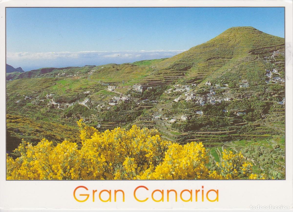 Postales: (183) GRAN CANARIA. JUNCALILLO - Foto 1