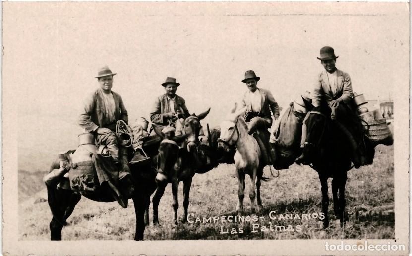 Postales: CAMPESINOS CANARIOS - LAS PALMAS - Foto 1