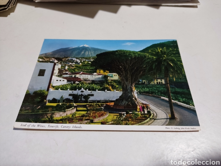 Postales: Postal Tenerife - Foto 1