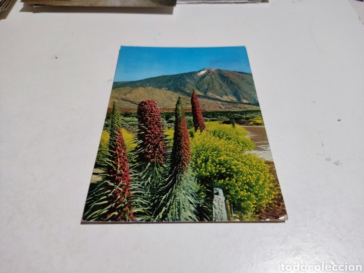 Postales: Postal Tenerife - Foto 1