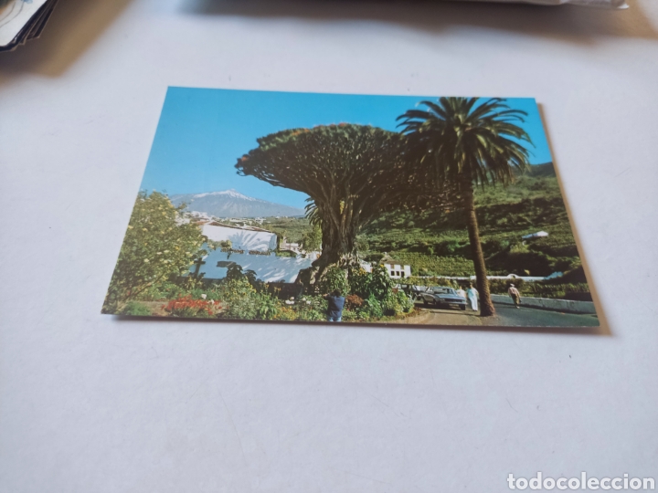 Postales: Postal Tenerife - Foto 1
