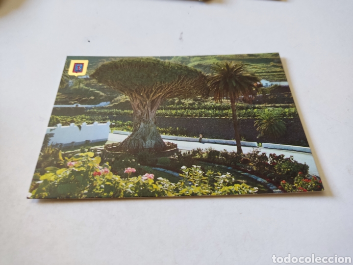 Postales: Postal Tenerife, Drag&oacute; - Foto 1
