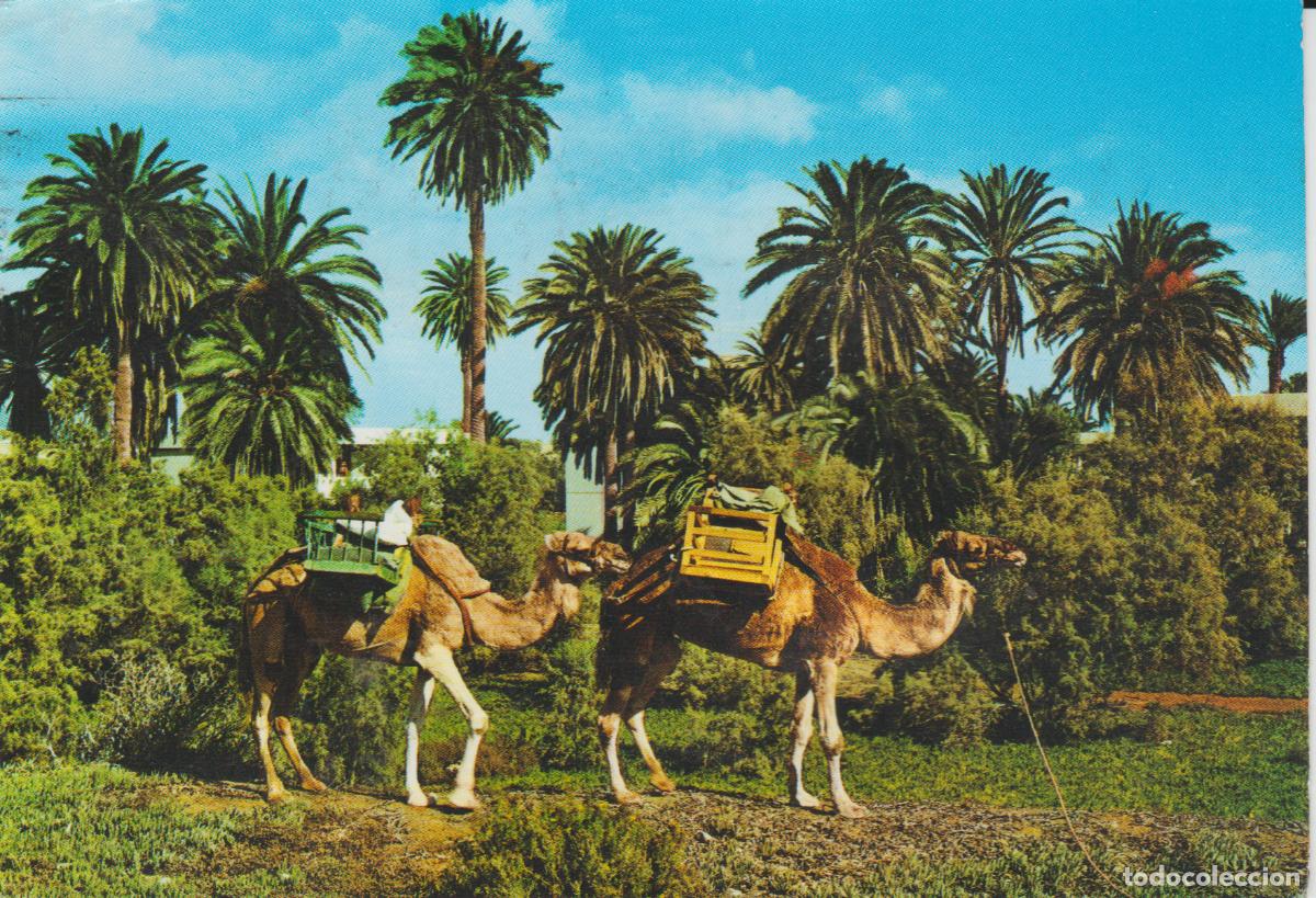 Postales: (10369) MASPALOMAS. GRAN CANARIA - Foto 1