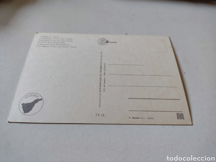 Postales: Postal Teide papagayos y Teide - Foto 2